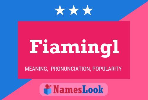 Fiamingl Naam Poster