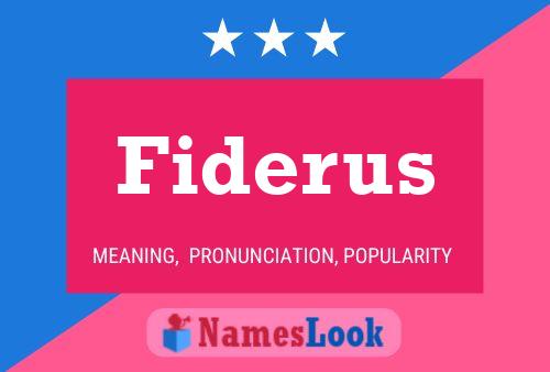 Fiderus Naam Poster