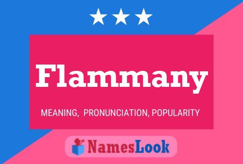 Flammany Naam Poster