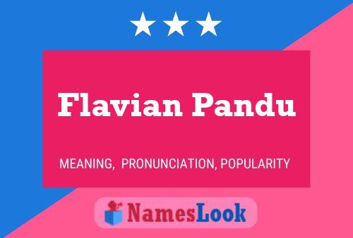 Flavian Pandu Naam Poster