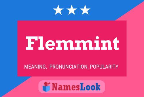 Flemmint Naam Poster