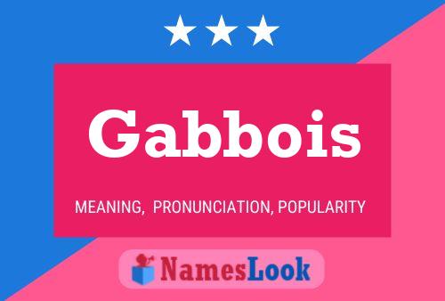 Gabbois Naam Poster