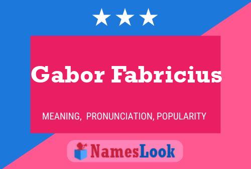 Gabor Fabricius Naam Poster