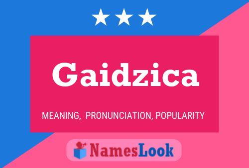 Gaidzica Naam Poster