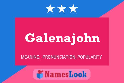 Galenajohn Naam Poster