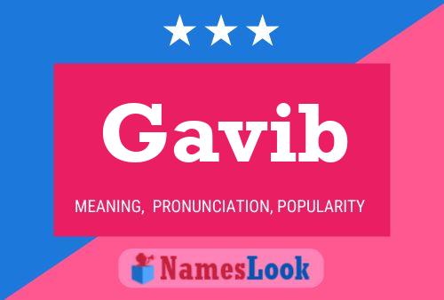 Gavib Naam Poster