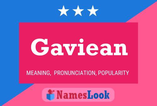 Gaviean Naam Poster