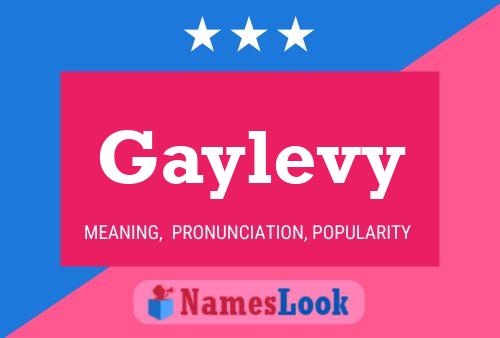 Gaylevy Naam Poster