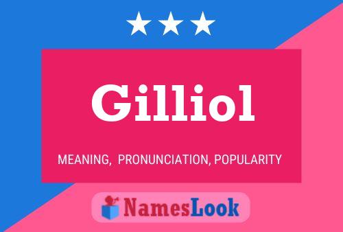 Gilliol Naam Poster