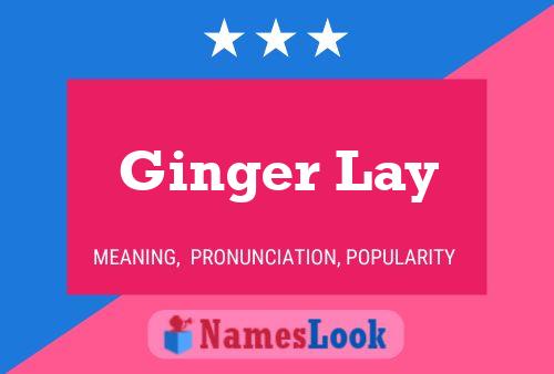 Ginger Lay Naam Poster