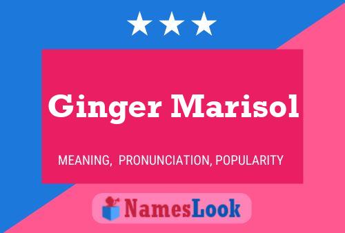 Ginger Marisol Naam Poster