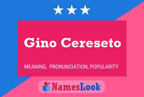 Gino Cereseto Naam Poster