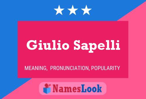 Giulio Sapelli Naam Poster