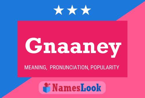 Gnaaney Naam Poster