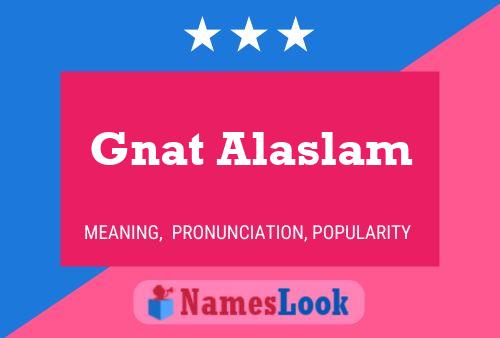 Gnat Alaslam Naam Poster