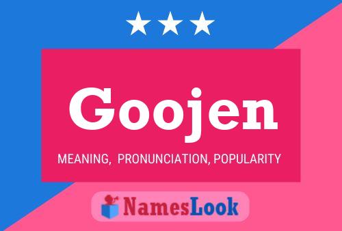 Goojen Naam Poster