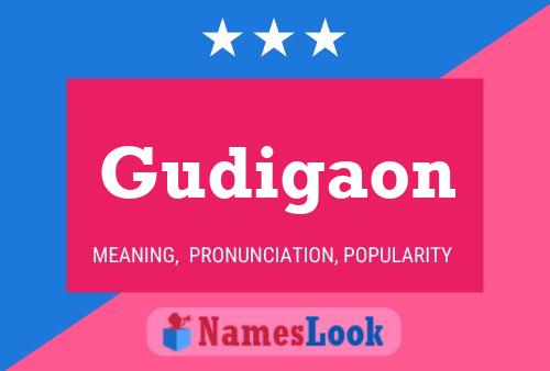 Gudigaon Naam Poster