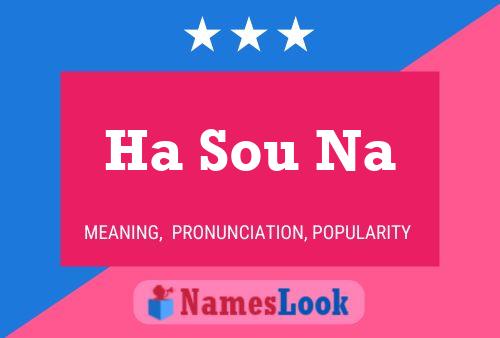 Ha Sou Na Naam Poster