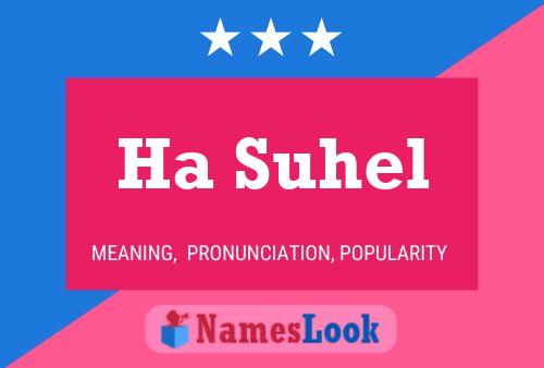 Ha Suhel Naam Poster