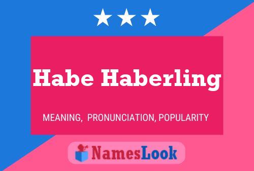 Habe Haberling Naam Poster