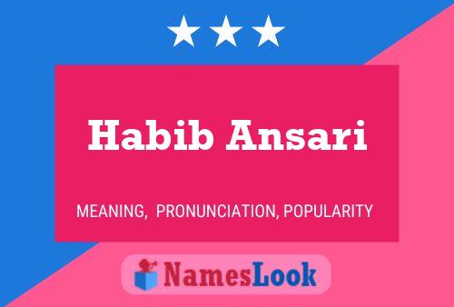 Habib Ansari Naam Poster