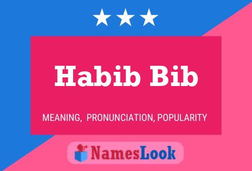 Habib Bib Naam Poster