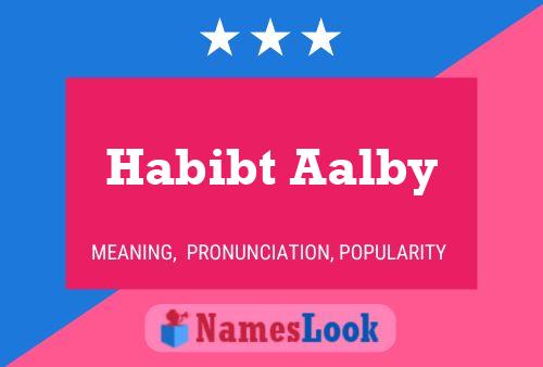 Habibt Aalby Naam Poster