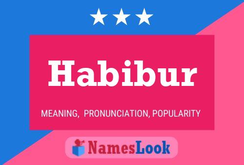 Habibur Naam Poster