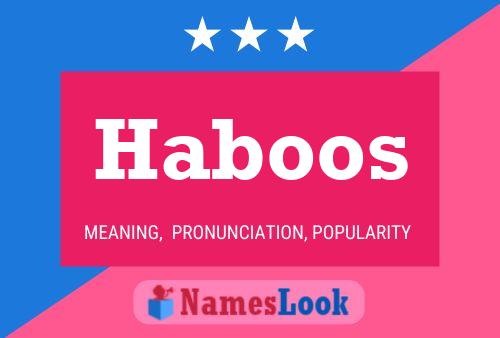 Haboos Naam Poster