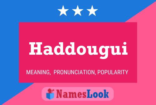 Haddougui Naam Poster