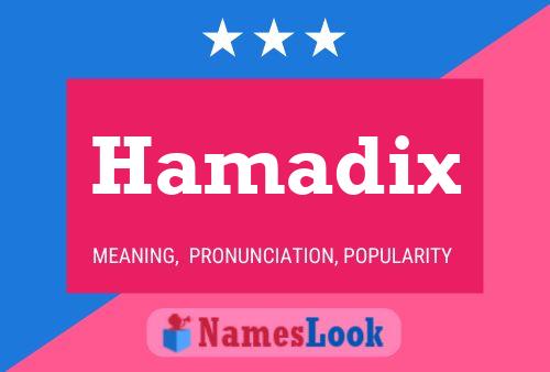 Hamadix Naam Poster