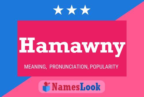 Hamawny Naam Poster