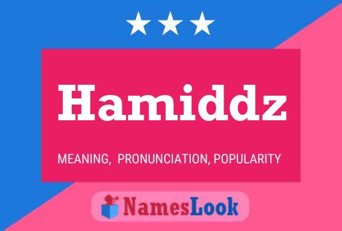 Hamiddz Naam Poster