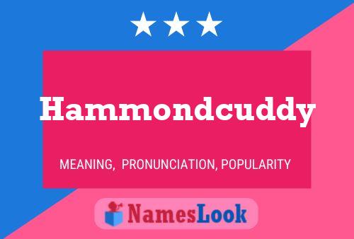 Hammondcuddy Naam Poster