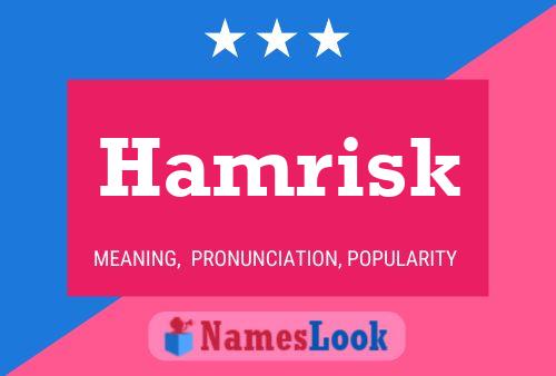 Hamrisk Naam Poster