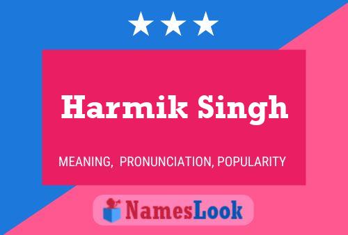 Harmik Singh Naam Poster