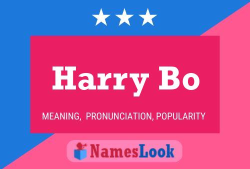 Harry Bo Naam Poster