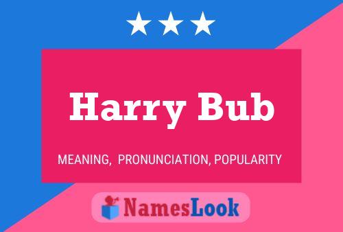 Harry Bub Naam Poster