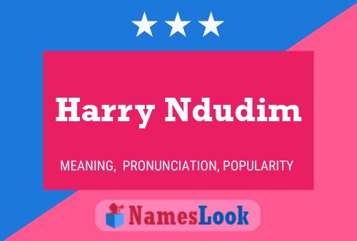 Harry Ndudim Naam Poster