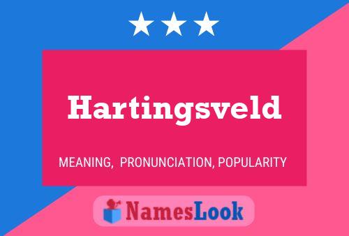 Hartingsveld Naam Poster