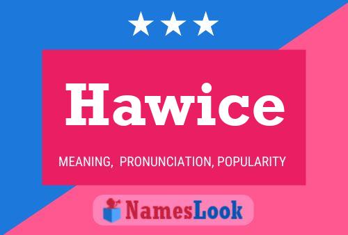 Hawice Naam Poster