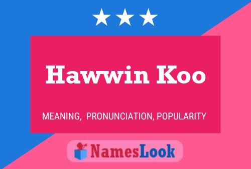 Hawwin Koo Naam Poster