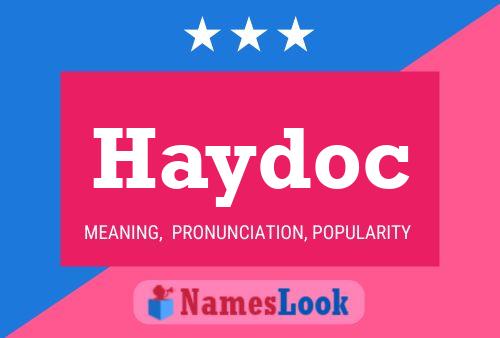 Haydoc Naam Poster