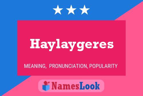 Haylaygeres Naam Poster