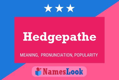 Hedgepathe Naam Poster