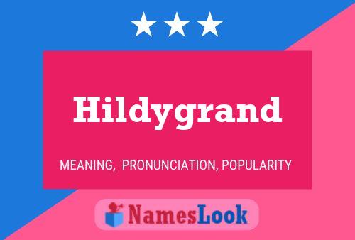 Hildygrand Naam Poster