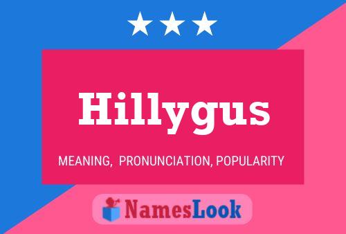 Hillygus Naam Poster