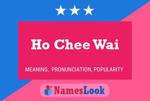 Ho Chee Wai Naam Poster