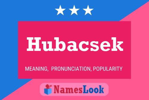 Hubacsek Naam Poster