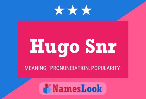 Hugo Snr Naam Poster